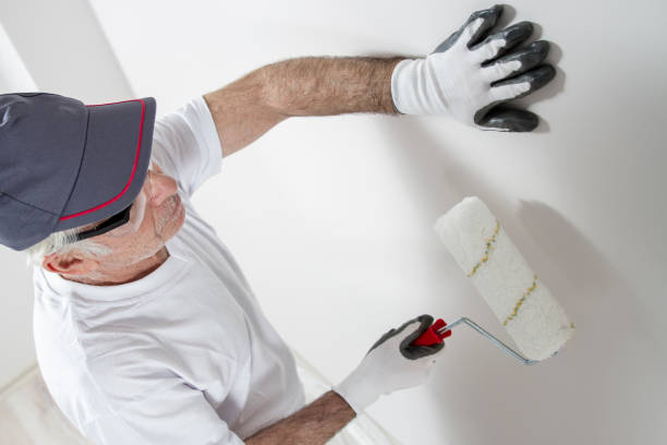 Best Emergency Mold Remediation  in Brundidge, AL