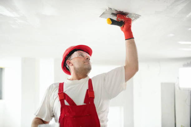 Best Mold-Related Health Consultation  in Brundidge, AL