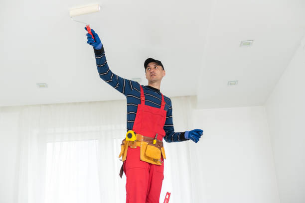 Trusted Brundidge, AL Mold Removal Experts