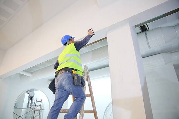 Best Commercial Mold Inspection  in Brundidge, AL