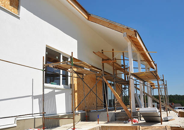 Best Mold Damage Restoration  in Brundidge, AL